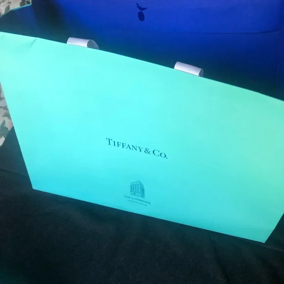 Tiffany & Co. Two large shopping bags and Landmark charm - Picture 9 of 12